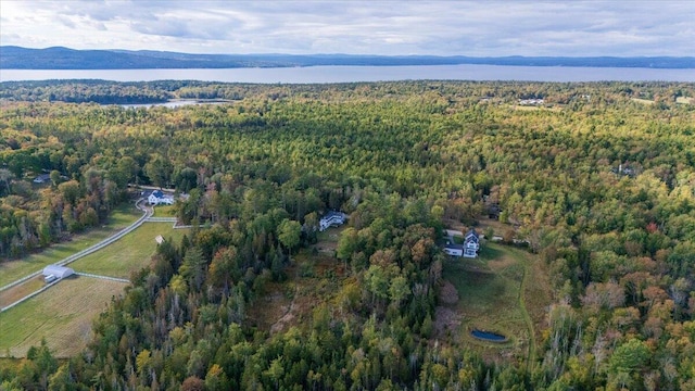 birds eye view of property featuring a mountain view