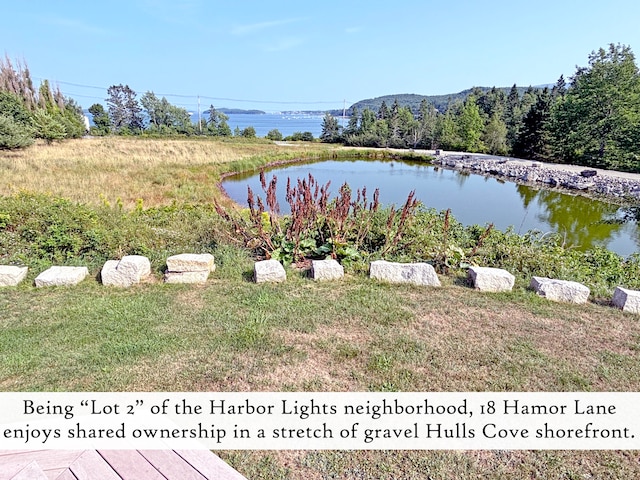 view of water feature