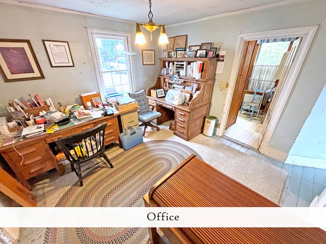 home office with light hardwood / wood-style flooring and crown molding