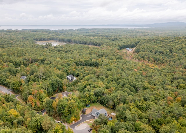106 Mitchell Rd, Casco, ME 04015 - photo 45