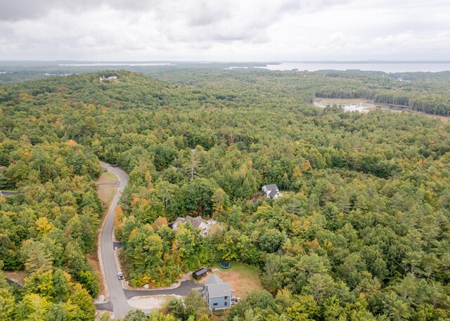 106 Mitchell Rd, Casco, ME 04015 - photo 47