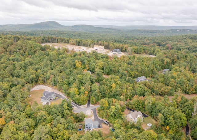 106 Mitchell Rd, Casco, ME 04015 - photo 48