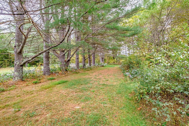 2457 Main St, Hanover, ME 04237 - view of yard