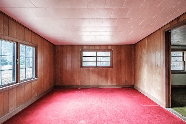 additional living space featuring wooden walls and carpet