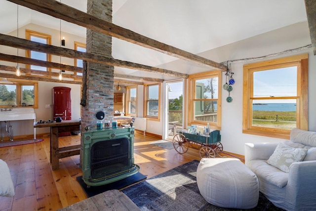 living room with a healthy amount of sunlight, a water view, wood-type flooring, and a wood stove