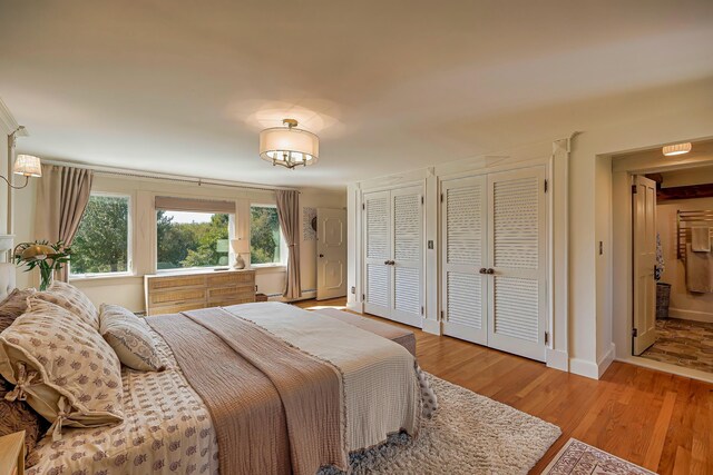 87 Carter Point Rd, Sedgwick, ME 04676 - bedroom featuring two closets, baseboards, light wood-style flooring, and a baseboard radiator
