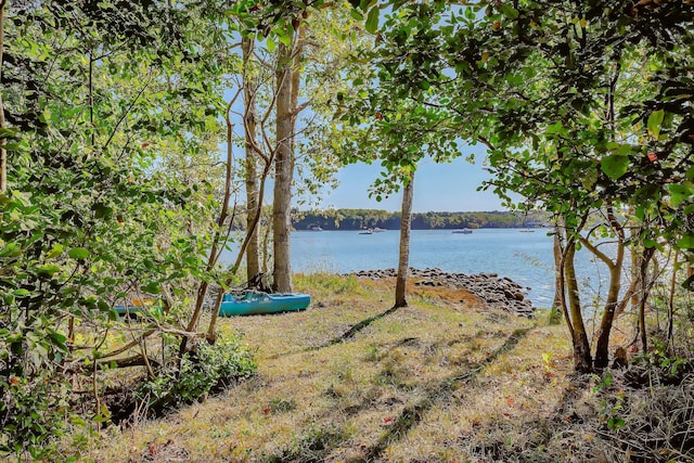 87 Carter Point Rd, Sedgwick, ME 04676 - water view