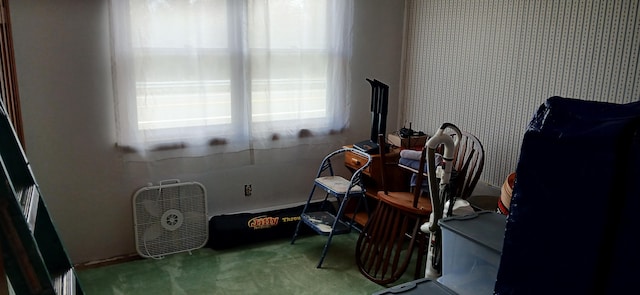 interior space featuring carpet floors