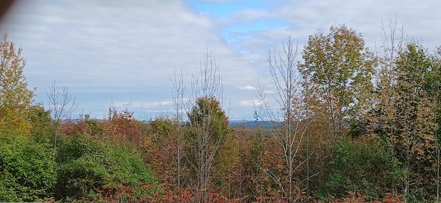 view of nature