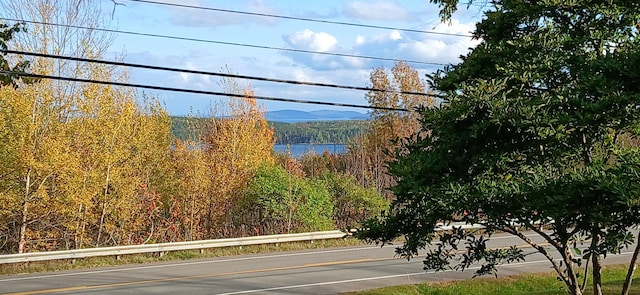 1270 US Rte 1, Weston, ME 04424 - view of asphalt street featuring a forest view