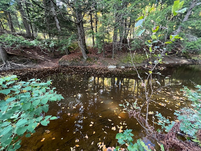 view of nature with a water view