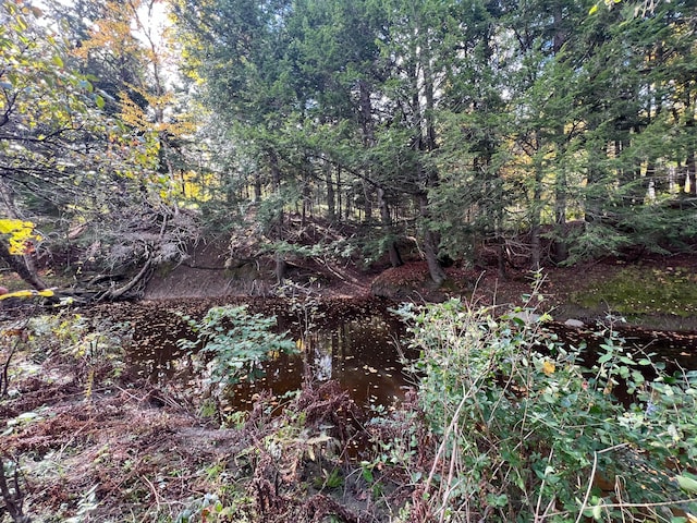 view of landscape featuring a water view