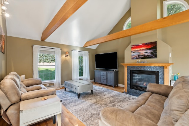 living room with high vaulted ceiling, a healthy amount of sunlight, and wood-type flooring