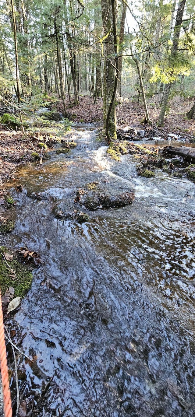 view of nature