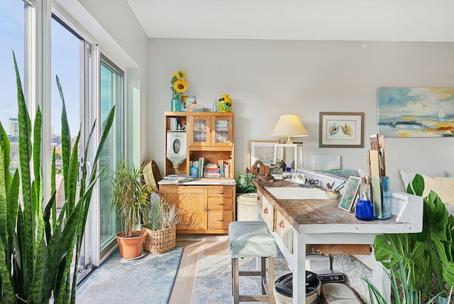 office space featuring light hardwood / wood-style flooring