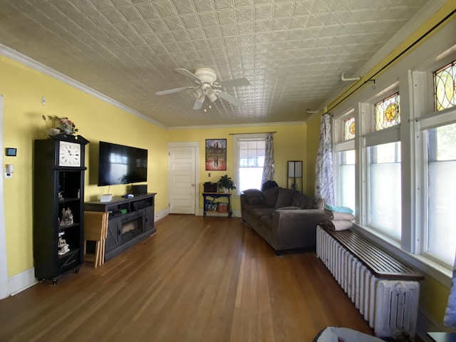 living room featuring radiator, ceiling fan, hardwood / wood-style floors, and crown molding