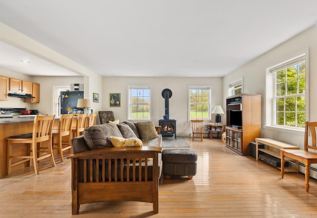 living room featuring light hardwood / wood-style flooring and a wood stove