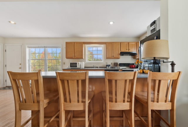 kitchen featuring a breakfast bar, light hardwood / wood-style floors, black range with gas stovetop, and a wealth of natural light