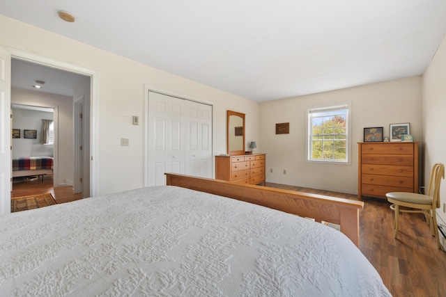 bedroom featuring a closet and dark wood-type flooring