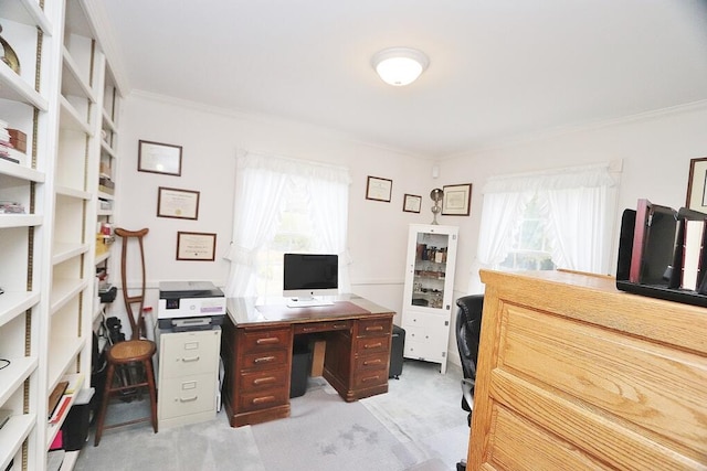 carpeted office with a healthy amount of sunlight and ornamental molding