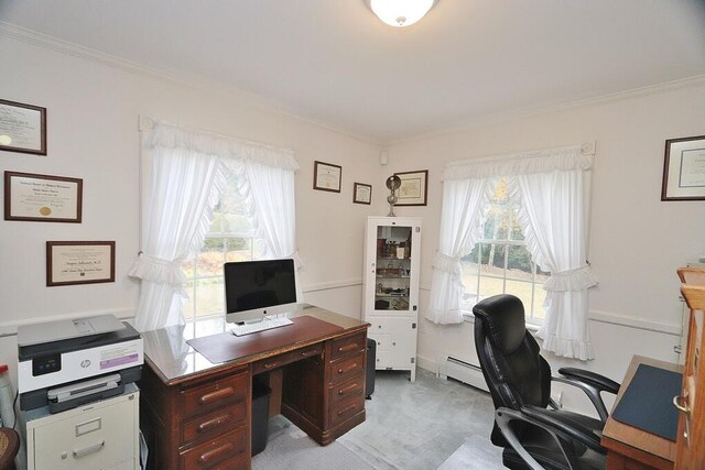 carpeted office featuring a healthy amount of sunlight and ornamental molding