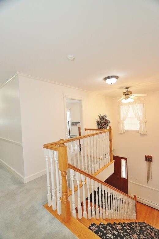 stairs with carpet floors and ceiling fan