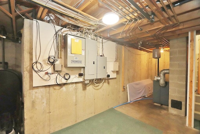 basement featuring electric panel