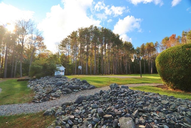 view of yard