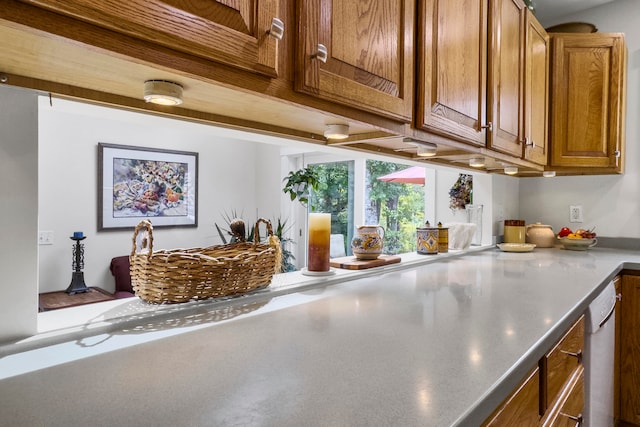 kitchen featuring dishwasher