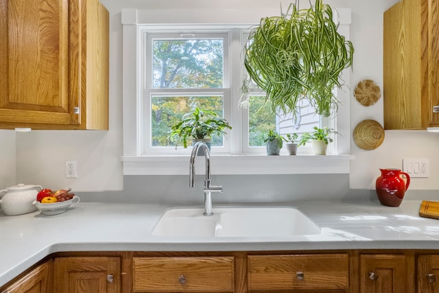 kitchen featuring sink