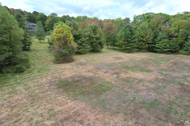 view of landscape with a forest view