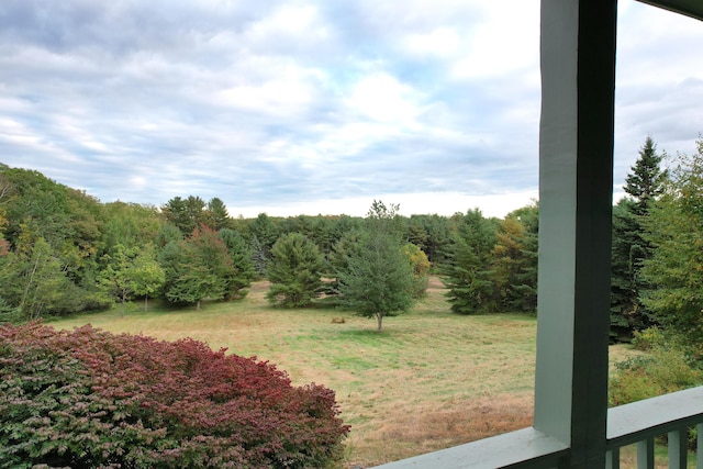 view of yard featuring a forest view
