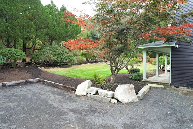 view of yard with a patio area