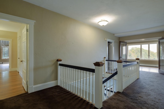 hallway featuring carpet floors, an upstairs landing, plenty of natural light, and baseboard heating