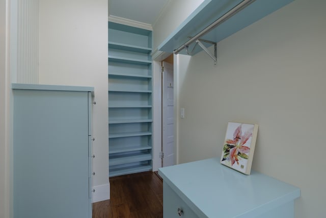 spacious closet featuring dark wood-style floors