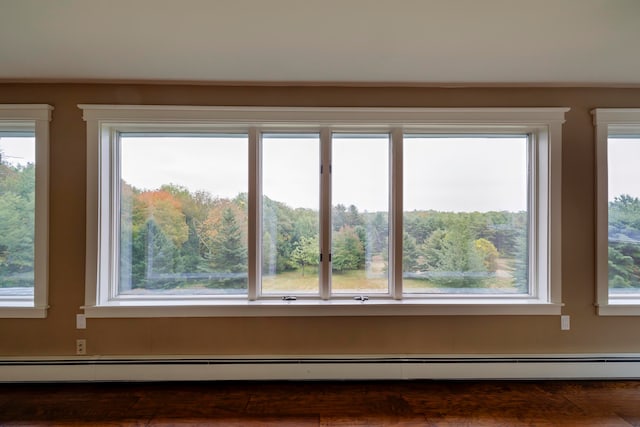 room details featuring wood-type flooring and baseboard heating