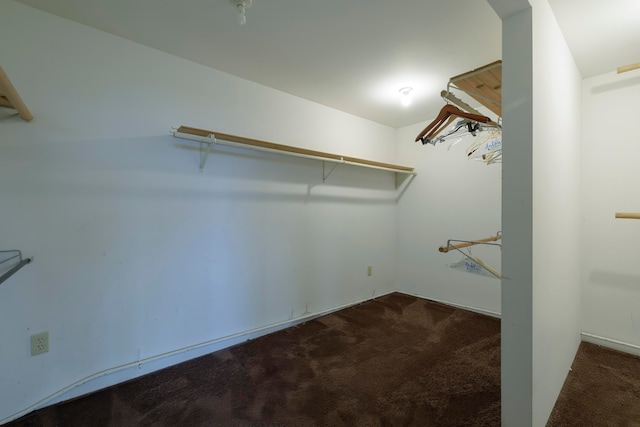 spacious closet featuring dark colored carpet