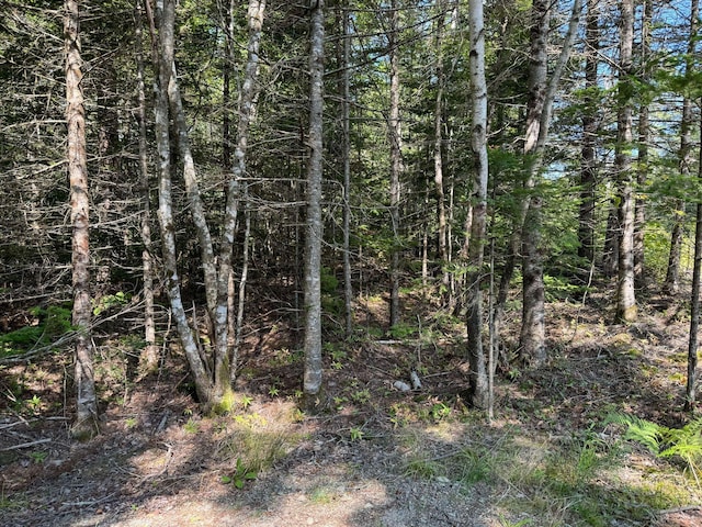 Listing photo 3 for LOT2 Mill River Rd, Harrington ME 04643