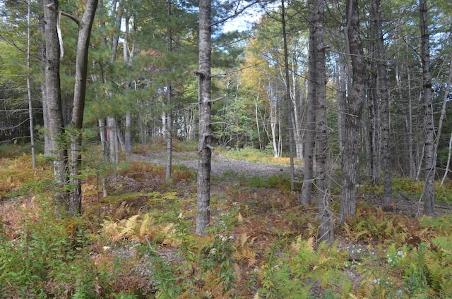 20 Emily Ln, Boothbay ME, 04537 land for sale