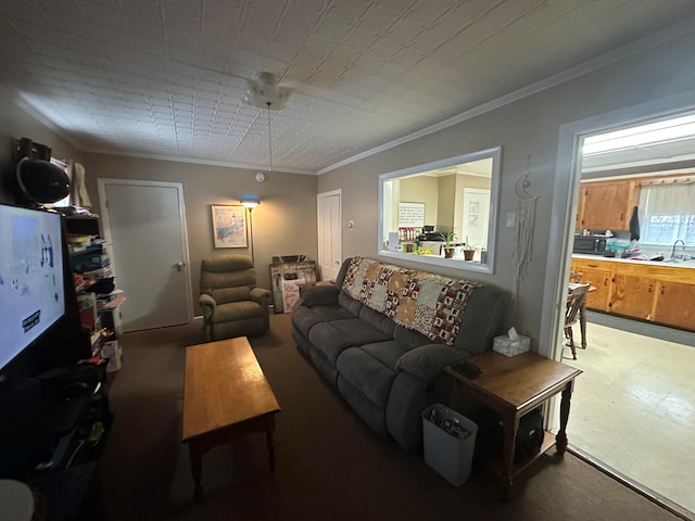 living room with sink and ornamental molding