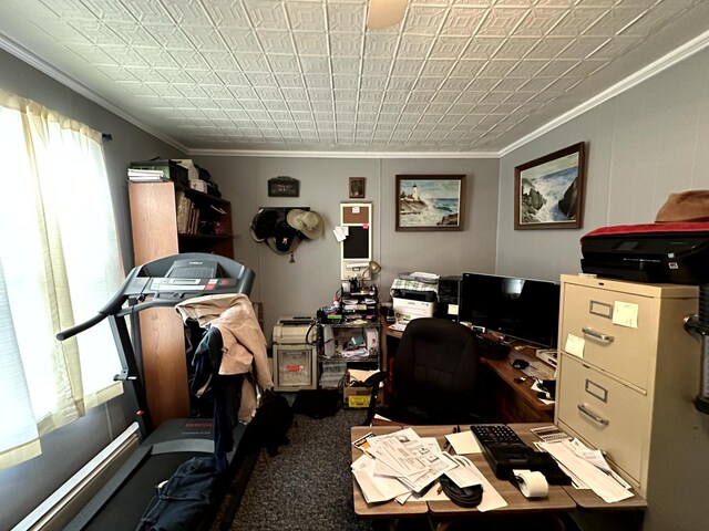 carpeted home office with crown molding and a healthy amount of sunlight