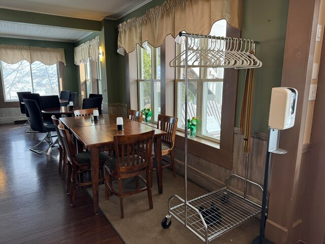 dining space featuring dark hardwood / wood-style floors, wood walls, crown molding, and a healthy amount of sunlight