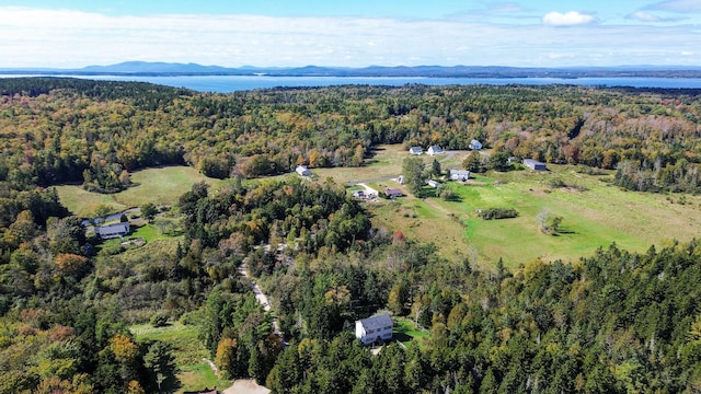 drone / aerial view featuring a mountain view