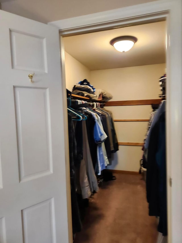 walk in closet featuring carpet floors