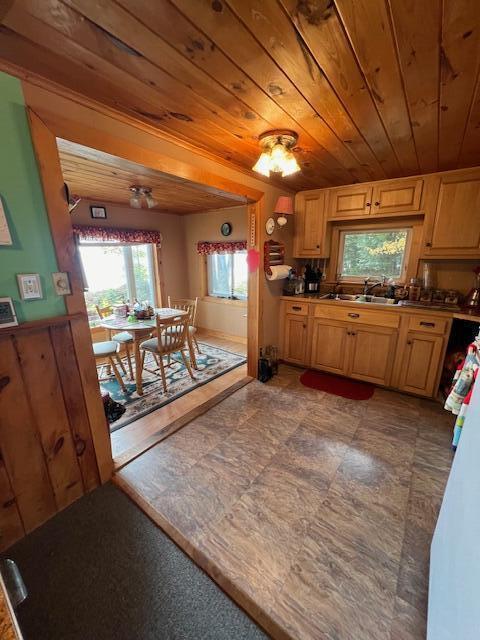 kitchen featuring a sink, a healthy amount of sunlight, and wood ceiling