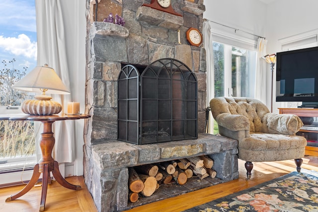 living room with a fireplace and hardwood / wood-style floors