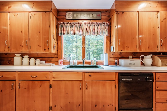 kitchen with black dishwasher and sink