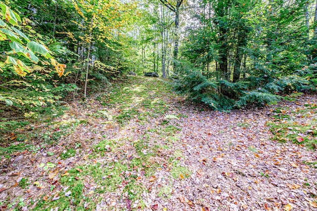 view of local wilderness