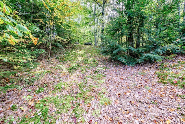 11 Goss Pond Rd, Bethel, ME 04217 - view of wooded area