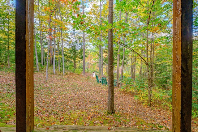 11 Goss Pond Rd, Bethel, ME 04217 - view of wooded area